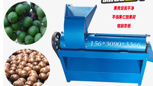 Machine à décortiquer les noix de macadamia en acier inoxydable de qualité alimentaire 300 kg/h avec moteur électrique pour décorticage humide/sec – Composant essentiel du moteur - Product Image 4