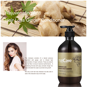 Champú Hidratante y Suavizante <span class=keywords><strong>para</strong></span> Cabello Fino al por Mayor, Control de Grasa <span class=keywords><strong>para</strong></span> <span class=keywords><strong>Rizos</strong></span> Saludables, Champú Orgánico Sin Sulfatos con Jengibre OEM - Product Image 4