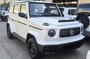 Per <span class=keywords><strong>Geely</strong></span> Panda Mini EV a buon mercato piccola Auto elettrica nuovo veicolo di energia dalla cina Auto usate - Product Image 2