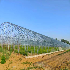 Hoge Sterkte Commerciële Agrarische Poly Boog Groene Huis Enkelvoudige Overspanning Landbouw Kas Te Koop - Product Image 2