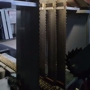 Scie à ruban verticale multi-lames pour coupe de bûches de bois - Product Image 6