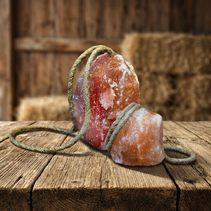 Sel rose de l'Himalaya naturel en morceaux, emballage personnalisé OEM pour chevaux, bovins et chiens, sel à lécher pour animaux du Pakistan - Product Image 1