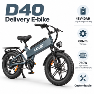 Vélo de livraison tout-terrain D40 en gros, 750W 48V40AH, fourche à suspension 203mm, frein à disque, OEM - Product Image 1