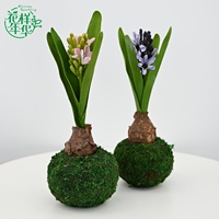 Fleurs artificielles classiques en bulbes de jacinthe violet naturel de 25 cm pour la décoration de couloir, de table de Pâques et de salon