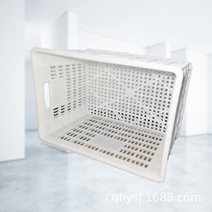 Caisse en plastique 525x365x315mm empilable, bac de manutention pour fruits et légumes, matière PP blanche - Product Image 3