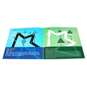 6 pièces/paquet Support triangulaire magique <span class=keywords><strong>pour</strong></span> billes de <span class=keywords><strong>billard</strong></span> avec points de marquage <span class=keywords><strong>pour</strong></span> table de <span class=keywords><strong>billard</strong></span> et support de billes - Product Image 6