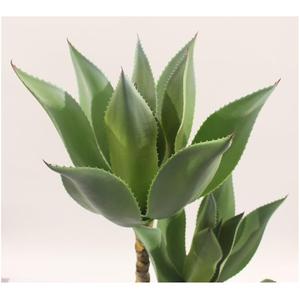 Vendita calda decorazione <span class=keywords><strong>di</strong></span> simulazione alla rinfusa popolare vaso <span class=keywords><strong>di</strong></span> bambù artificiale fiori <span class=keywords><strong>di</strong></span> <span class=keywords><strong>orchidea</strong></span> tronchi d'albero finti nuova pianta artificiale sfusa - Product Image 4