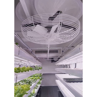 Conteneur de culture hydroponique vertical de 40 pieds, personnalisé sur mesure par l'usine AGG, grand conteneur mobile clé en main pour la culture hydroponique