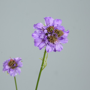 Simulasi Daisy bunga pernikahan abadi dekorasi langit-langit, tata letak Hotel pemandangan jalan panduan penataan bunga sutra - Product Image 4