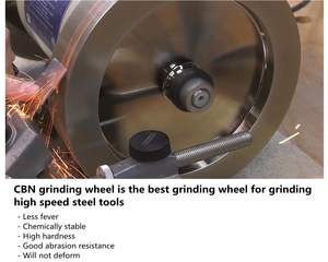 Disque de meulage diamanté électro-plaqué lapidaire de 250 mm, disque de meulage CBN, ensemble de disques pour système d'affûtage T7/T8, grain 80 160 400 1000 - Product Image 5