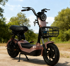 Excellent <span class=keywords><strong>prix</strong></span>, scooter <span class=keywords><strong>électrique</strong></span> 350W avec panier avant, double siège, absorption des chocs, autonomie de 45 km/55 km pour les trajets urbains - Product Image 3