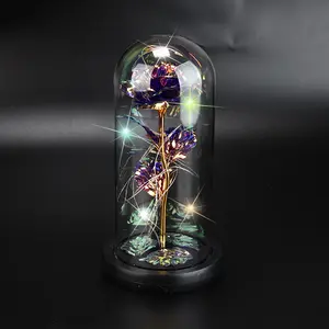 Kreative Ideen Geschenk beliebte goldene Rose 24K Galaxy Foil Rosen mit leuchtendem Led-Licht Glaskuppel für Mütter Valentinstag