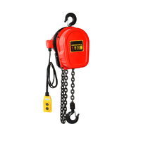 Palans électriques à chaîne DHS de type 2 tonnes 3/6/9M avec options 380V/220V, grue à câble
