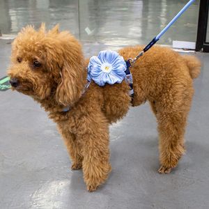 New floral lace-trimmed pet harness, cat and small <b>dog</b> <b>leash</b>, tank top style <b>dog</b> walker. - Product Image 2