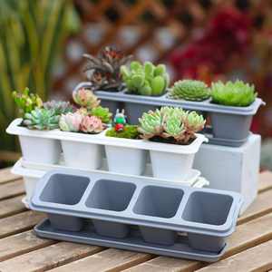 DD1684 Tiny 4 6 Cellule Plante Succulentes Soucoupes Mini Cultiver Des Semis Pot De Fleurs En <span class=keywords><strong>Plastique</strong></span> Plateaux De Fleurs pour Plantes D'intérieur - Product Image 4