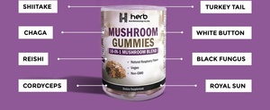 OEM/ODM Organic <b>Mushroom</b> <b>Enzyme</b> Gummies with Private Labels for Adult Health Support Improve Memory & Sleep 2 Gummies Daily - Product Image 5