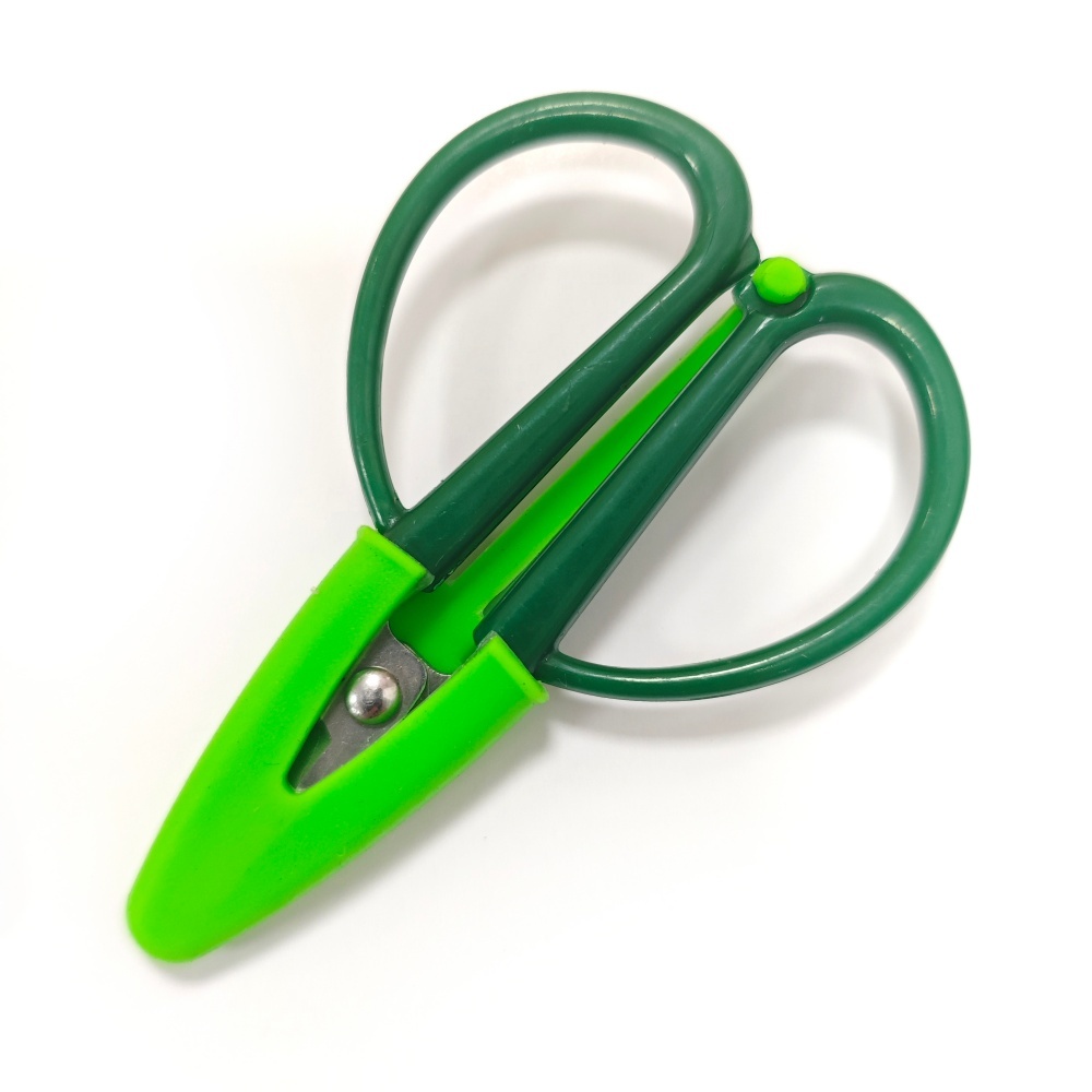 vert foncé avec couverture vert clair