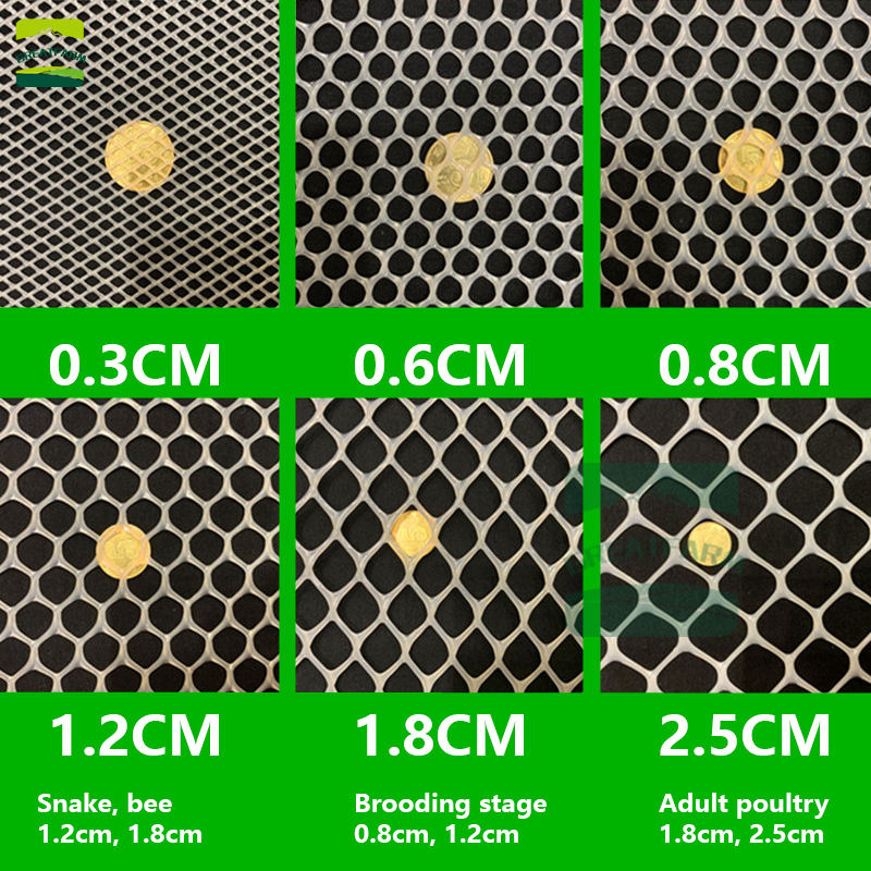 Livestock Chicken Net Broiler Egg Chicken Plastic Ground Net