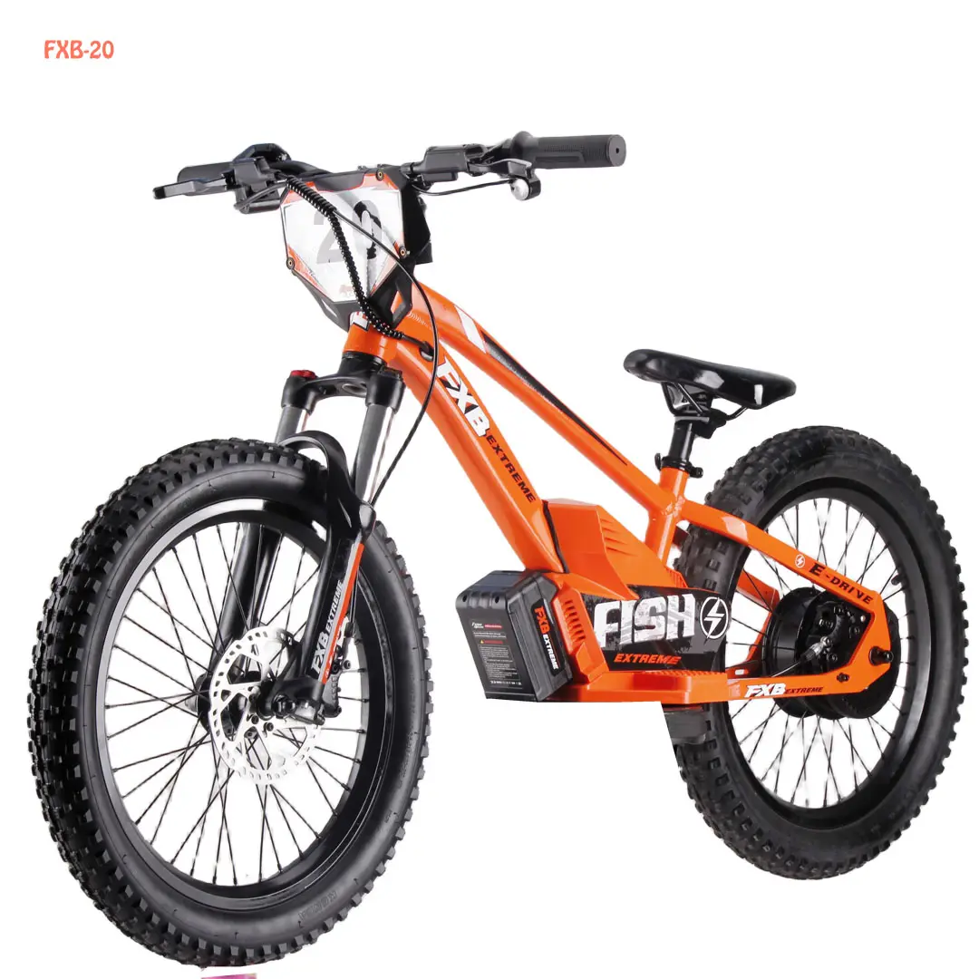 新しいモデル20インチEパワーおもちゃ自転車20 "800Wキッズ電動バランスバイク5〜12歳の男の子