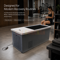 Baignoire froide commerciale avec système de refroidissement intégré, bain de glace en acier inoxydable pour spa, salle de sport et hôtel