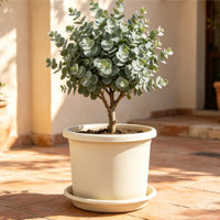 Pot de fleurs circulaire en plastique PP durable et léger avec trou de drainage, design minimaliste moderne, pour intérieur/extérieur, grand format pour jardin de bureau