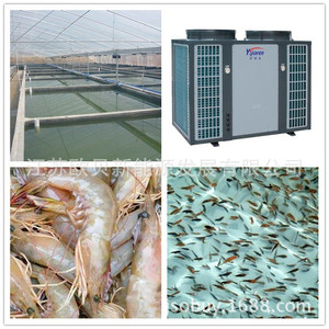 Bomba de calor para calentar agua en acuicultura, acero inoxidable, 380V, R-410A, ahorro de energía - Product Image 4
