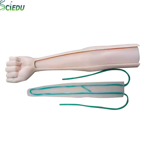 Modello di Braccio per Addestramento alle Iniezioni SCIEDU, Esercizio di Iniezione Muscolare, Prelievo di Sangue, Infusione, Manichino Medico per Formazione Infermieristica - Product Image 1