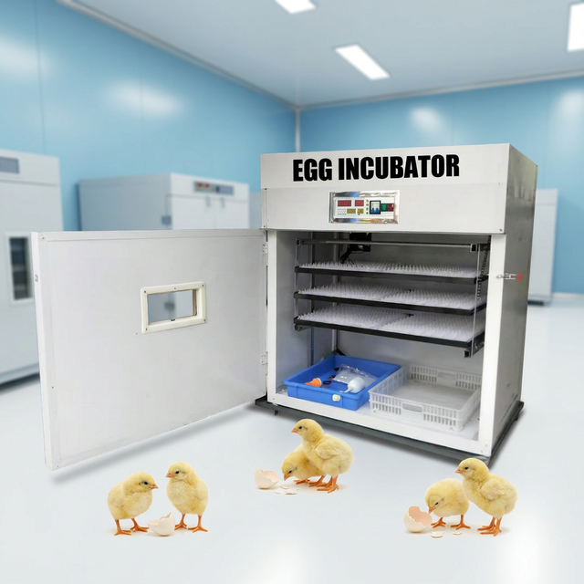 AC/DC Dual Power Supply 100 Egg Incubator and Hatcher Automatic Solar Hatching Machine