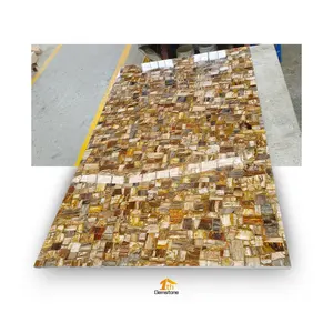 Natural Brown Fossil Stone Petrified Wood Semi Precious Stone Slabs For Wall Decoration/Countertop