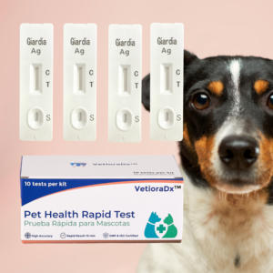 Rabies <span class=keywords><strong>ELISA</strong></span> Kit und Rabies Schnelltest Kit - Veterinär-Diagnostik-Kit zur Rabies-Antigen-Erkennung mit Hoher Genauigkeit - Product Image 2