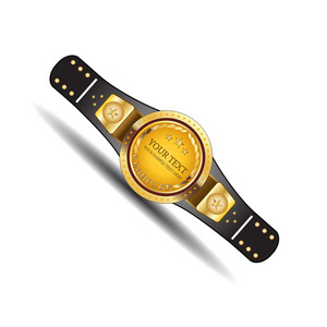 Cinturón de Campeonato Premium al por Mayor con Decoración de Color Sólido, Cinturones de Campeonato Personalizados de Cuero para Torneos de Boxeo - Product Image 3