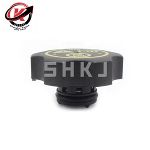 Cubierta de tanque de almacenamiento de <span class=keywords><strong>radiador</strong></span> de calidad más vendida para Buick Chevrolet 13502353 13544913 13598760 - Product Image 3