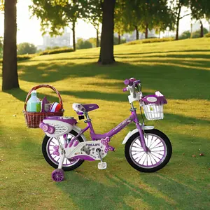 Magnifique mini vélo pour enfants avec dossier Vélo Phillips 12 "16" 18 "Vélo pour enfants de 3 à 10 ans Rayons colorés pour garçons