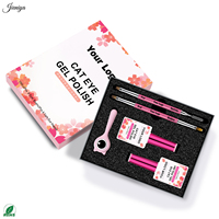 Kit de gel UV pour ongles effet œil de chat brillant à prix compétitif avec 2 pinceaux double embout et 1 bâtonnet magnétique pour salon de beauté