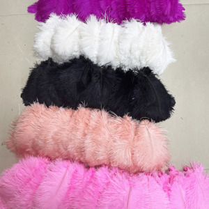 10-15cm prix usine plumes d'autruche fête <span class=keywords><strong>de</strong></span> mariage pour déco <span class=keywords><strong>plume</strong></span> d'autruche - Product Image 3