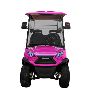 Fabricación al por Mayor de Carritos de Golf de 2 Plazas, Mini Carros de Golf, Buggies para Calle y Carretera, Carritos de Golf Utilitarios - Product Image 2
