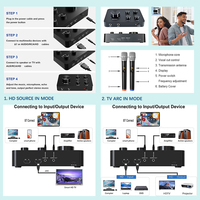 Kablosuz Dinamik Mikrofon Karaoke 2 Kanallı UHF Sistemi Çift El Tipi Taşınabilir Akıllı TV Amplifikatörü HD AUX Giriş/Çıkışlı