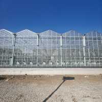 Serre à couverture en verre résistante aux intempéries de marque ZHUOTAI, fournie directement par l'usine, OEM ODM pour les grossistes agricoles mondiaux