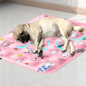 2024 Neuankömmling <span class=keywords><strong>Summer</strong></span> <span class=keywords><strong>Pet</strong></span> <span class=keywords><strong>Cooling</strong></span> <span class=keywords><strong>Mat</strong></span> Reißfeste Dog Cat <span class=keywords><strong>Cooling</strong></span> Isomatte - Product Image 6
