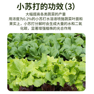 Bicarbonate de soude agricole en poudre 300g pour la culture des légumes, le contrôle des parasites et la protection des cultures - Product Image 5