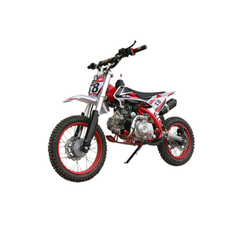 Three Powerful Wheeled Wheel India Dirt Bike Chinese Dealers 125Cc