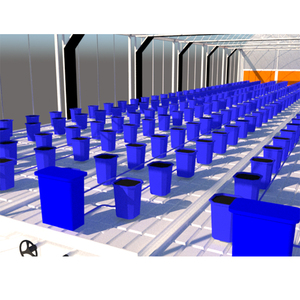 โรงเรือนฟิล์มสมุนไพรอเมริกันปรับแต่งได้ฟรี - Product Image 3