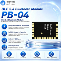 Module sans fil BLE 5.4 basse consommation Ai-Thinker, modèle PB-04, puce PHY6222 intégrée, prend en charge le réseau SIG-Mesh