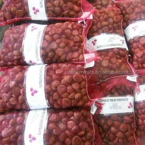 Dandong Chestnut Fresh Crop Chestnut 30-40 40-50 gunny bag mesh bag Chestnut Price