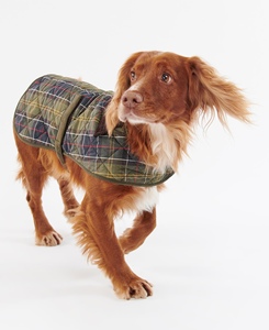 Chaquetas Clásicas de Invierno de Algodón <span class=keywords><strong>para</strong></span> Perros <span class=keywords><strong>Golden</strong></span> <span class=keywords><strong>Retriever</strong></span> al por Mayor - Abrigos Impermeables de Lujo Personalizados <span class=keywords><strong>para</strong></span> Perros <span class=keywords><strong>para</strong></span> Aventuras al Aire Libre - Product Image 6
