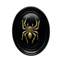 Sculpture murale ovale noire antique écologique Art Déco Araignée dorée Scorpion Coccinelle Vintage Ornement en résine Décoration murale suspendue