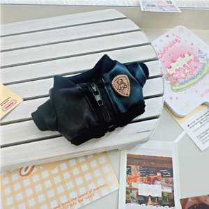 Lindo <span class=keywords><strong>Labrador</strong></span> 17CM Conjunto de Ropa de Muñeca Impermeable con Diseños Personalizados Hechos de Vinilo Ropa de Animales de Felpa - Product Image 5