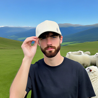 Personalizado Unisex Vintage estructurado Golf Polo 100% algodón 6 paneles bordado logotipo papá sombrero gorra de béisbol