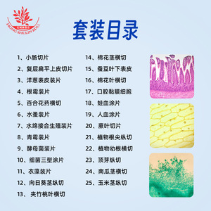 สไลด์แก้วใสสำหรับตัวอย่าง 25 ชนิด พร้อมฉลากเซลล์ที่เขียนด้วยภาษาจีนและภาษาอังกฤษ ขอบสไลด์เจียรเรียบ รุ่น J3228 สำหรับพืชและ - Product Image 5