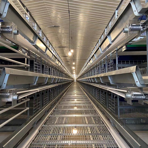 Jaulas <span class=keywords><strong>de</strong></span> capa huevo pollo batería 4 niveles capa <span class=keywords><strong>de</strong></span> <span class=keywords><strong>segunda</strong></span> mano jaulas <span class=keywords><strong>de</strong></span> aves <span class=keywords><strong>de</strong></span> corral capa jaulas <span class=keywords><strong>de</strong></span> codorniz para la venta - Product Image 3